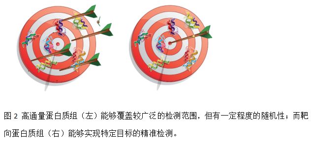 生物学研究离不开分析蛋白质的组成及含量变化