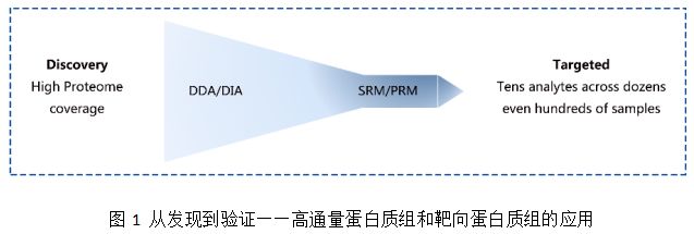 生物学研究离不开分析蛋白质的组成及含量变化