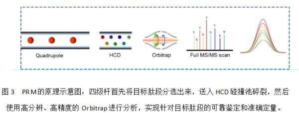 生物学研究离不开分析蛋白质的组成及含量变化