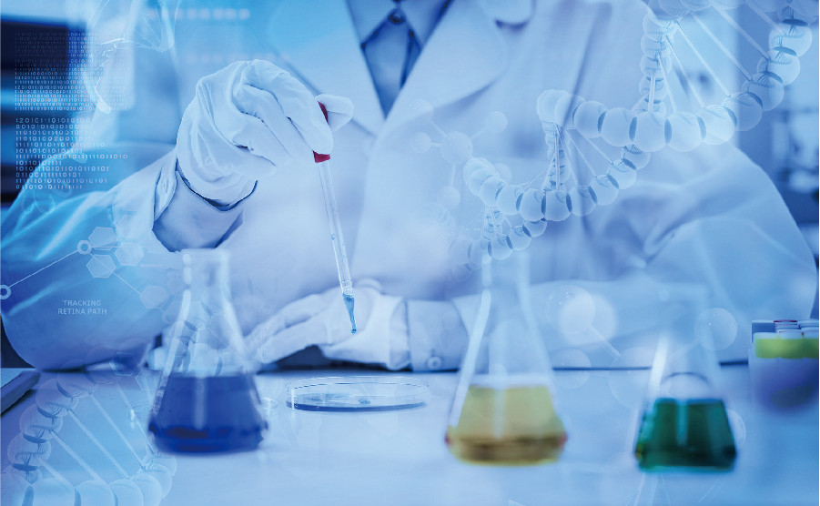 生物相容性研究